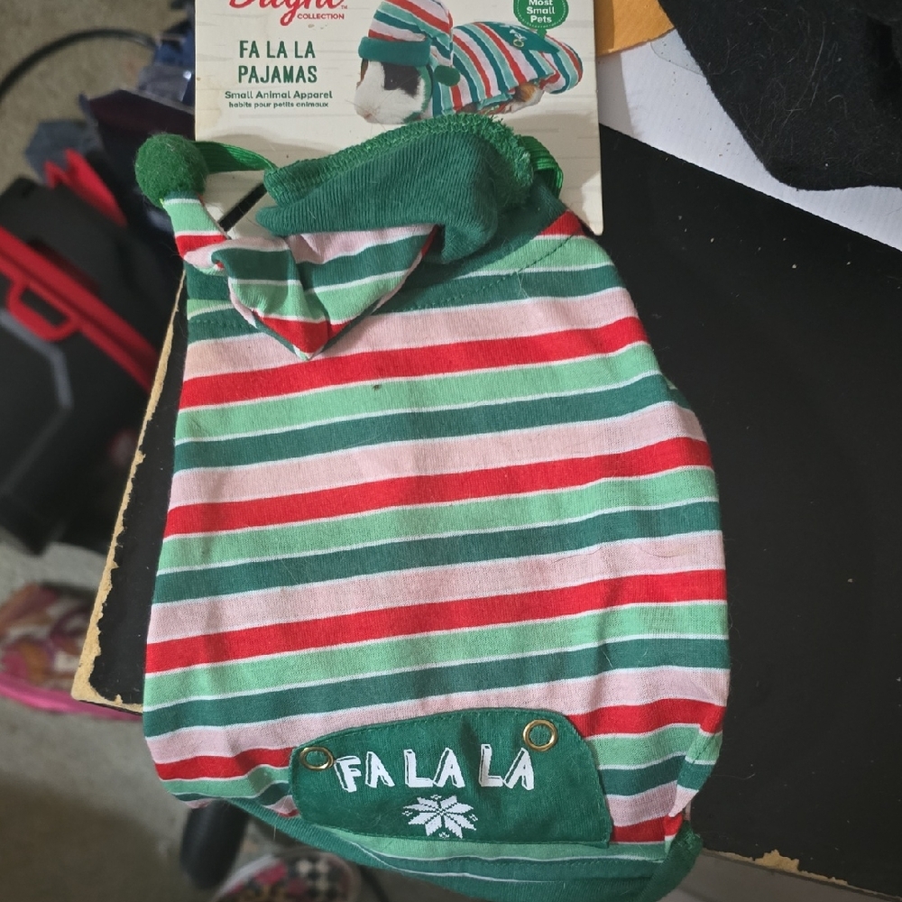 Guinea Pig Christmas Outfit With Hat